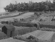 Kitchen Gardens, Hafodunos Hall Boarding School