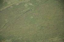  STONE CIRCLE W OF YNYSHIR