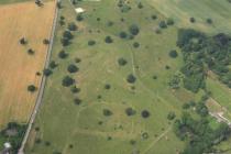  BRYN-Y-PYS PARKLAND, ENCLOSURE