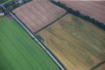  ENCLOSURE CROPMARK, CAT AND FIDDLE