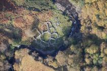  MULTICELLULAR SHEEP FOLD, NR DORWEN