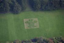  POWIS CASTLE, PARK AND GARDENS, WELSHPOOL