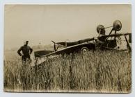 Photograph of crashed plane during WW1 training...