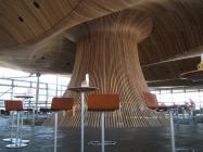 Welsh Assembly - ventilation cone and timber...