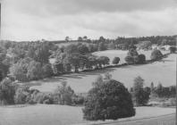 Golygfa o'r Ysgol Breswyl Plas Hafodunos