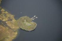  LLYN EIDDWEN ISLAND BUILDINGS: TREDWELL'S...