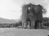  MAENAN HALL DOVECOTE