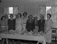  Members of Welshampton Women's Institue at a show