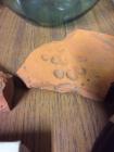 A Roman roof tile with Roman dog paw prints