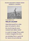 Welsh Calvary gan Damian Walford Davies