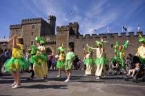 Cardiff Carnival 2015