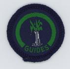 Guide Welsh Folk Interest badge