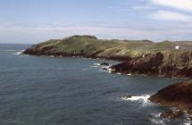 South Haven, Skokholm Island 1982