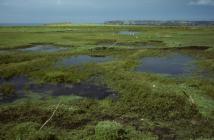 Skokholm - North Pond