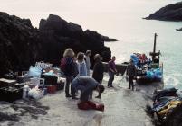 Landing at South Haven, March 1995