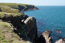 Skokholm - Neck north side on 14-06-2010