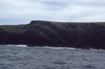 North Gully, Skokholm Island. 1982.