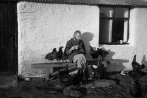 Skokholm – Graham Gynn takes tea with chickens