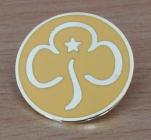 Brownies promise badge