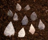 Leaf-shaped arrowheads