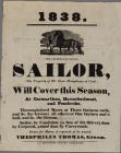 1838 Sailor poster