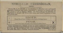 Cardiganshire Teimla Mr L P Pugh 1880 