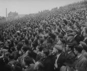 Swansea Town Football Club, The Vetch Field