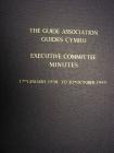 The Guide Association Guides Cymru Executive...