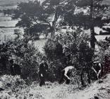 Detectives on a murder investigtion 1945