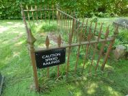 Railings around a grave at St Michaels