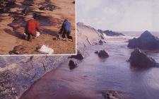 Oil on tide at West Angle Bay, Pembrokeshire 03/96