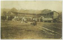 
Drefach Felindre Sports, Parc Puw, c.1910 
