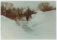 The heavy snow of 1982