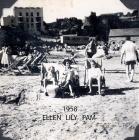 Beach at Tenby