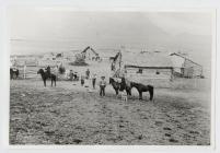 Camp (Richard Williams) yn yr Andes