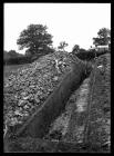 Cloddiadau Clawdd Offa ger Court House