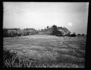 Offa's Dyke at Sedbury Park