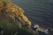 Nash Point: Bird & Water