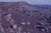 Penarth, Vale of Glamorgan: History/Archaeology...