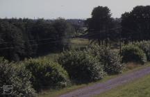 Llanishen, Cardiff: Landscape & Water