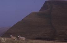 Brecon Beacons: Geology & Landscape