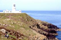 Dinas Head: Landscape