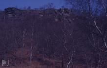 Graig yr Hesg, Pontypridd: Geology & Landscape