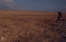 Rhondda Fach: Plant/tree & Landscape