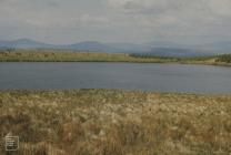 Llyn Fach: Plant/tree & Landscape