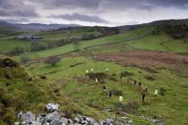 The remains of a Llys in Cwm Prysor, Gwynedd