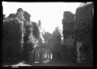 Restormel Castle