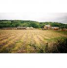 Tyn-y-waun farm, site preparation