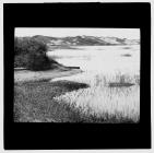 Pools and Dunes at Kenfig Hill