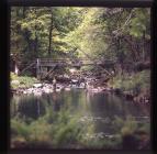 Angling on the River Llugwy